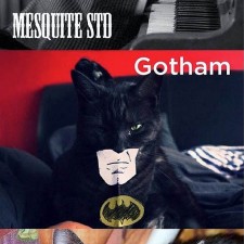 Chats et typographies : Courier, Gotham, Cooper, ...