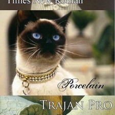 Des chats & des typos : Gothic, Times, Garamond, ...