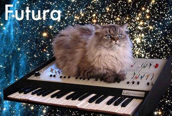 Chats Typographiques