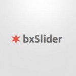 bx-slider-slideshow-javascript