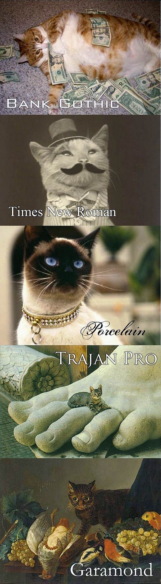 Des chats & des typos : Gothic, Times, Garamond, ... Des chats & des typos : Gothic, Times, Garamond, ...