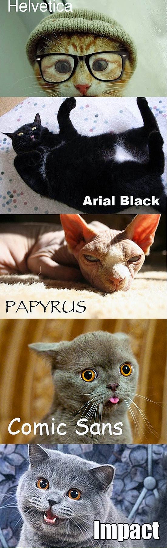 Chats et typographies : Helvetica, Arial, Comic Sans, Impact Chats et typographies : Helvetica, Arial, Comic Sans, Impact